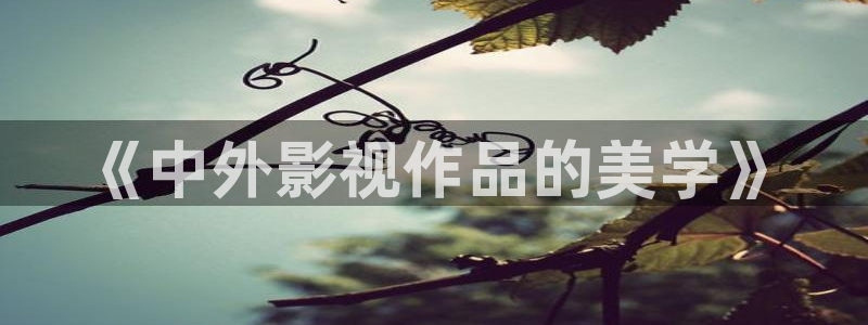 新新電影 理論：《中外影視作品的美學(xué)》