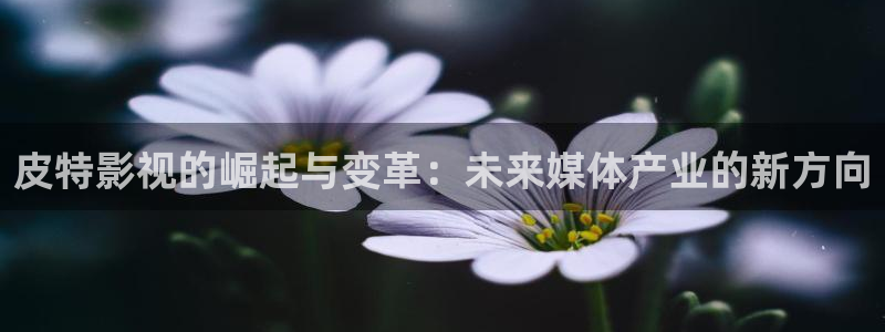 理論午夜電影在線觀看：皮特影視的崛起與變革：未來媒體產業的新方向