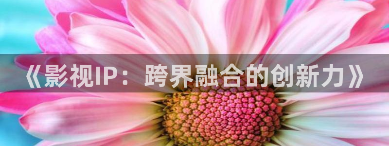 韓國理論中文電影：《影視IP：跨界融合的創新力》