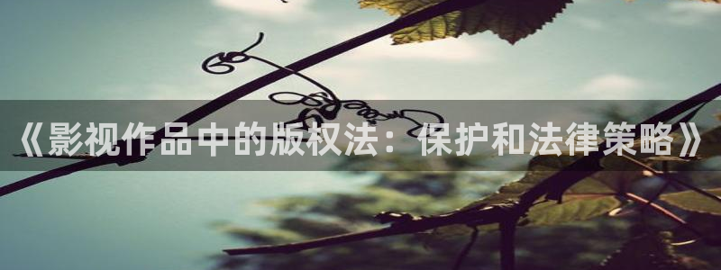 97影院理論午夜倫不卡：《影視作品中的版權(quán)法：保護(hù)和法律策略》