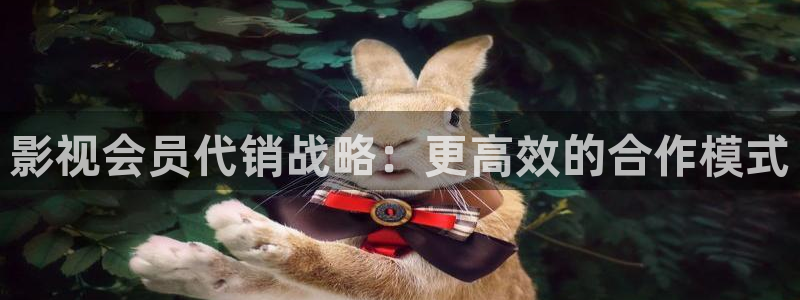 看歐美理論電影：影視會(huì)員代銷戰(zhàn)略：更高效的合作模式