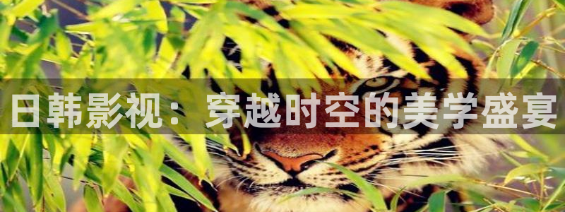 秋霜理論電影：日韓影視：穿越時空的美學盛宴