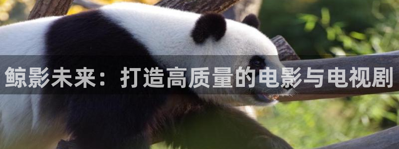 777理論電影網(wǎng)：鯨影未來：打造高質(zhì)量的電影與電視劇