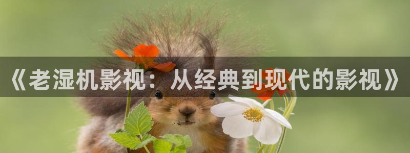 理論影片在線觀看：《老濕機(jī)影視：從經(jīng)典到現(xiàn)代的影視》